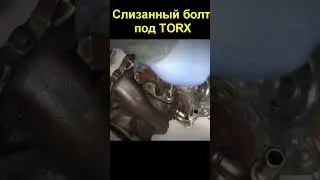 Слизанный болт под TORX