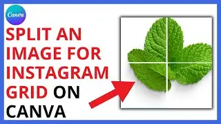 How to Split an Image for Instagram Grid on Canva [QUICK GUIDE]