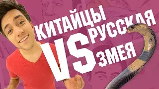 ПРАНК: КИТАЙЦЫ VS РУССКАЯ ЗМЕЯ | Пошалим с Шалимовым