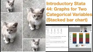 Introductory Stata 44: Graphs For Two Categorical Variables (Stacked bar chart)