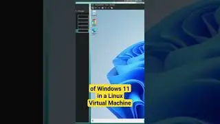 Windows 11 dynamic screen resolution with Virt-Manager on Linux