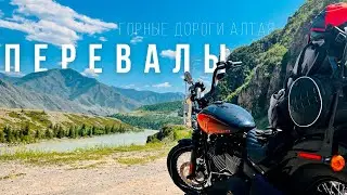 HD Street Bob по перевалам и серпантинам Алтая