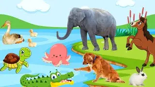 Cute animals in the zoo - Elephant, horse, crocodile, dog, duck - Animal sounds