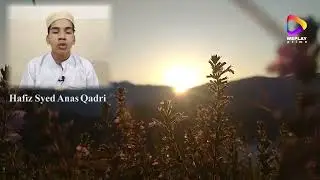 Surah Taariq by Hafiz Anan Qadri