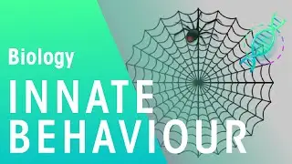 Innate Behaviour | Ecology & Environment | Biology | FuseSchool