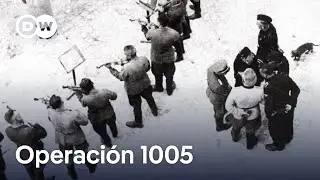 Cómo los nazis borraron sus crímenes | DW Documental