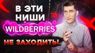 Ниши Wildberries. В какие категории Wildberries не рекомендуется заходить новичку