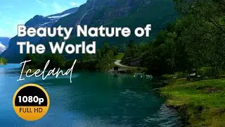 Top Nature Videos 🍀 Relaxing Music With Beautiful Nature Videos 🍀 Beauty Nature of The World 🍀Nature