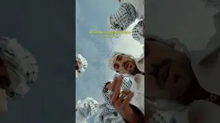 🇵🇸🕊️💕 