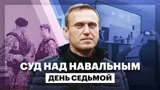 Суд над Навальным. День седьмой