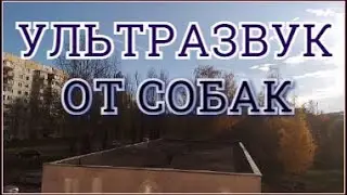 Ультразвук от собак Мощный отпугиватель собак Ультразвуковой отпугиватель собак