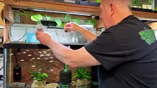 BEST Nano Fish Food? Master Fish Breeder Reviews