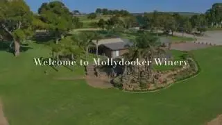 Mollydooker Winery