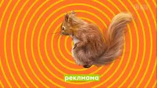 Заставки «Реклама» (Music Box , осінь 2024)