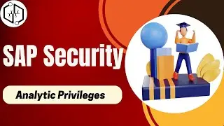 SAP Security Analytic Privileges | SAP Security Tutorial | SAP Secuirty for Beginners | SAP Security