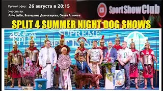 SPLIT 4 SUMMER NIGHT DOG SHOWS