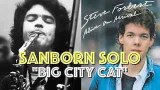 Ever Heard This Sanborn Solo Before?