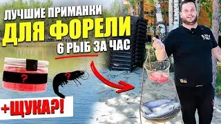 На что ловить ФОРЕЛЬ на платниках. Приманки и снасти для форели. КАК ЛОВИТЬ форель на платном пруду?