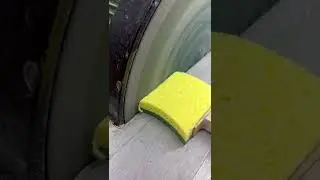 Sander VS Sponge 🧽