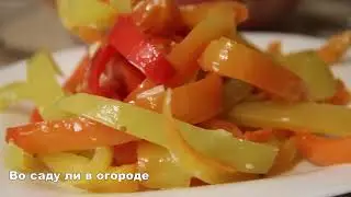 ГОТОВЛЮ РАЗ 20 ЗА ЛЕТО! ОЧЕНЬ ВКУСНЫЙ САЛАТ C ПЕРЦЕМ