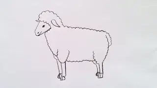 how to draw sheep drawing easy step by step