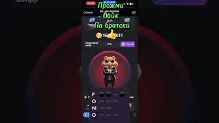 Секретный Шифр Hamster Kombat на 26 июня 24г