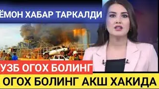 ОГОХ БОЛИНГ БУ АМЕРИКА ЧАТОК ЧИКИБ КОЛДИ ЭНДИ НИМА КИЛАМИЗ TREND NEWS.