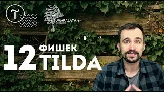 Фишки tilda |  12 крутых фишек конструктор сайта Тильда