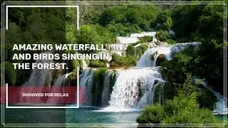 Amazing Waterfall And Birds Singing In The Forest. White noise. Atmosphere For Sleep And Study