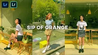 Sip of Orange Lightroom Preset | Free Lightroom Mobile Preset (DNG)