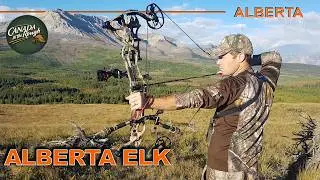 Close Encounters While Elk Hunting in Alberta | Canada in the Rough