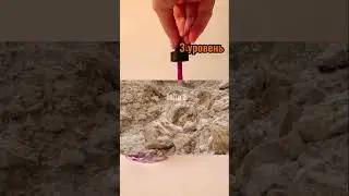 НАЙДИ ЖИВОТНЫХ НА ФОТО ТЕСТ 