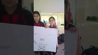 BFSS project work