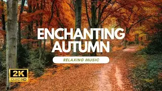 Incredible Fall Foliage - Best Autumn Nature Scenes from Around the World - Calming Music