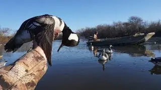 Best Mixed Bag YET!! Duck Hunting a Big Watershed