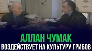 Кандидат сельскохозяйственных наук демонстрирует результат успешного опыта с участием А. Чумака