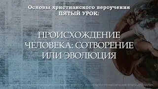 Происхождение человека: Сотворение или эволюция | 5 урок | Основы христианского вероучения