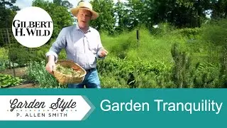 How to Enjoy Garden Tranquility | Garden Style (1717)