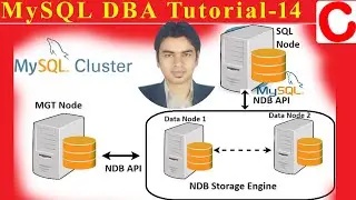 MySQL Tutorial 14 - MySQL NDB Cluster Configuration in Ubuntu 22.04 LTS – Step by Step process