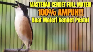 MASTERAN CENDET GACOR FULL TEMBAKAN COCOK BUAT MATERI CENDET PASTOL