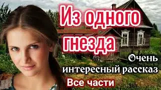 "ИНТЕРЕСНЫЙ РАССКАЗ" Анны Лукс "Из одного гнезда". Все части, „Христианские”| "трогательная история"