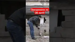 Старую Тойоту замуровали на 30 лет в сарае! Гаражная находка, капсула времени #barnfind #toyota