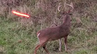 20 Shots in 20 Minutes! (ULTIMATE Bowhunting Compilation)