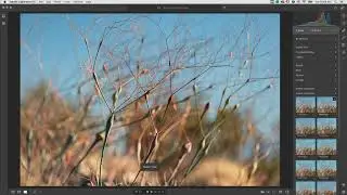 Profiles and Presets in Lightroom CC | Adobe Lightroom