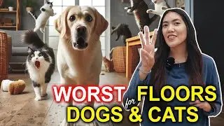 3 types of floors to avoid with dogs and cats