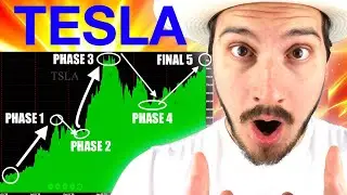 WHY TESLA STOCK JUST FLIPPED - DO THIS NOW