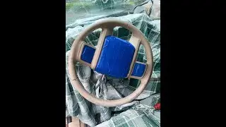 Restore Steering Wheel with Leather Paint