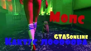 Кактус лофофора в GTA5online. Мопс.