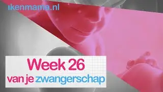 26 weken zwanger? Bekijk symptomen, echo, je buik en info over bevallen | ikenmama.nl