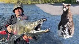 💥 КРАСНАЯ ИКРА и медведи на ОЧЕНЬ рыбной реке.